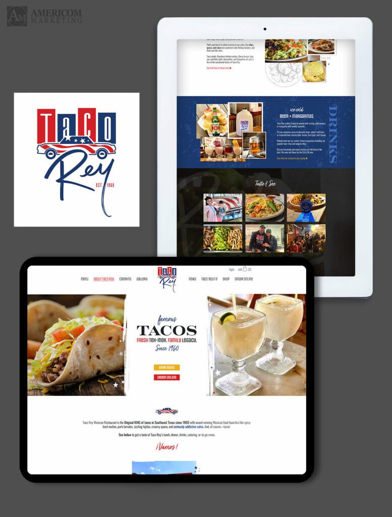 Web Design in Nederland - Taco Rey Website Design